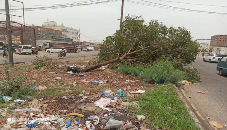 برد ورياح تقتلع الاشجار بلحج