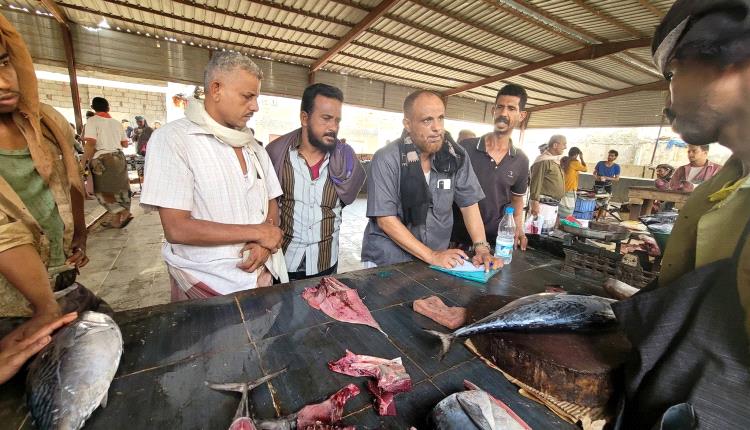 لحج..الصناعة والتجارة بطور الباحة يُشدد الرقابة على سوق الأسماك ويحذر المتلاعبين
