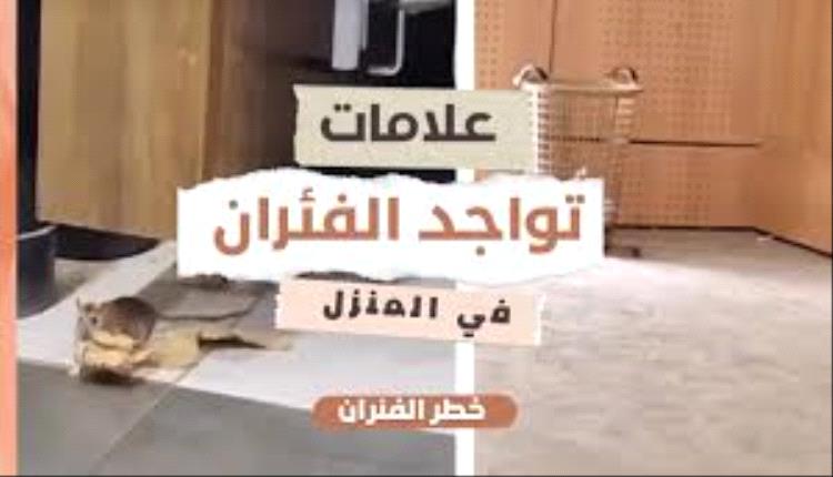 تفسير حلم الفأر في المنزل لابن سيرين 