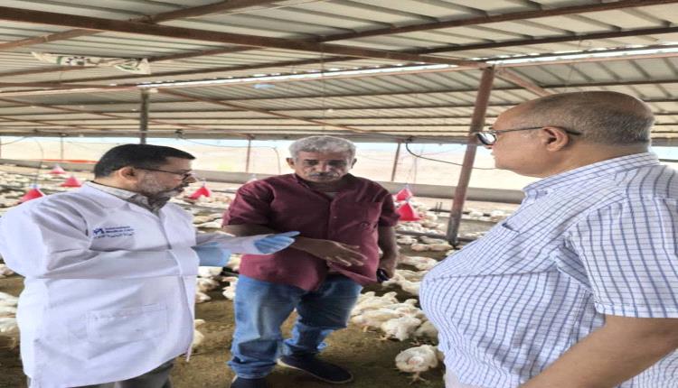 وباء النيوكاسل.. الكشف عن نتائج الفحص الأولي للدواجن في عدن ولحج والإجهاد الحراري هو السبب 