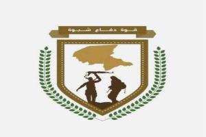 شبوة... لماذا يُترك الأبطال بلا سند؟