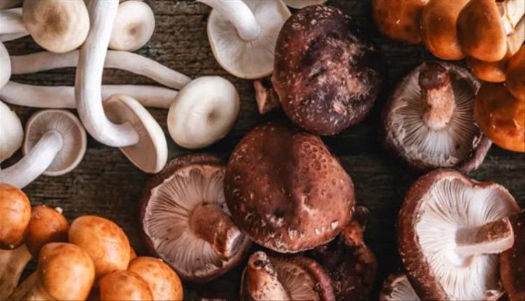 يحتوي على البوتاسيوم.. فوائد تناول الفطر..