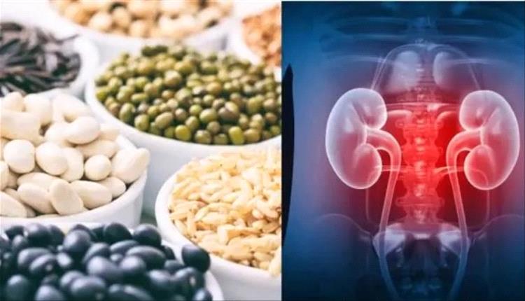 تأثير زيادة استهلاك البروتين على صحة الكلى 