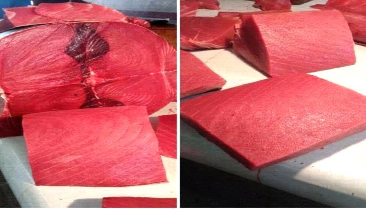 أسعار الأسماك اليوم الثلاثاء فى عدن 24 مارس 2026م