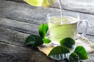 كيف يؤثر الشاي الأخضر على امتصاص الحديد في الجسم؟