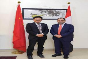 وزير الكهرباء يبحث مع الصين دعم مشاريع الطاقة المتجددة