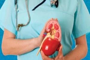 حصوات الكلى أبرزها.. 7 علامات لارتفاع مستوى حمض اليوريك لا تتجاهلها