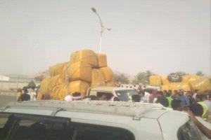 فرض رسوم ضريبية جديدة على "القات" بمحافظة الضالع