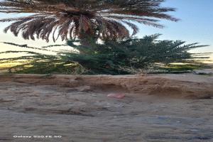 مخاوف بيئية وصحية بسبب أعمال التجريف غرب شبام التاريخية