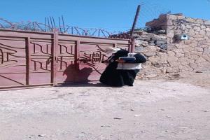 الجهاز المركزي للإحصاء يواصل تنفيذ مسح ميزانية الأسرة في محافظة تعز