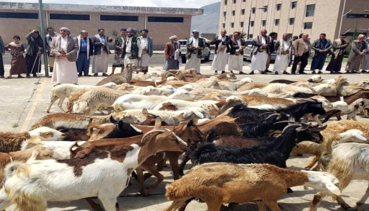 جبايات الحوثيين العيدية تُرهق سكان صنعاء وريفها 