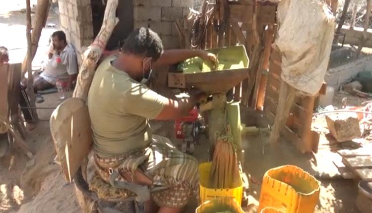 "كفيف" ينجح في مشروع صناعة وإنتاج الحناء بلحج 