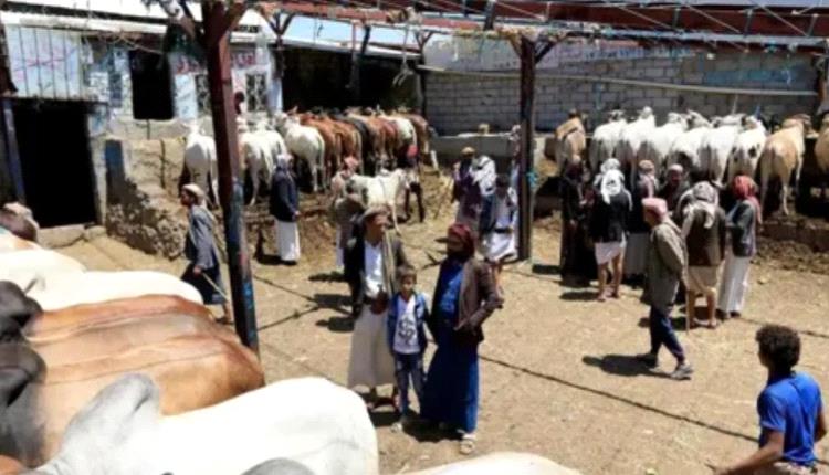أضاحي العيد .. أسعار تفوق القدرة الشرائية