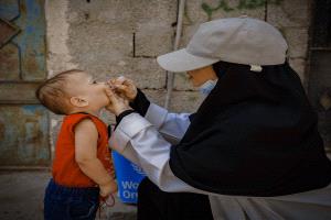 اتساع تفشي الملاريا يُفاقم الأزمة الصحية في اليمن