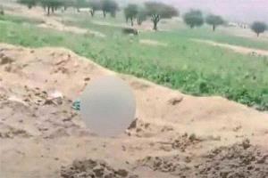 صدمة في عمران عقب العثور على امرأة مسنّة مقتولة داخل أرض زراعية
