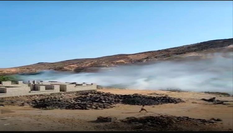 حرائق متكررة  تطال واحات النخيل في حضرموت تثير تساؤلات 