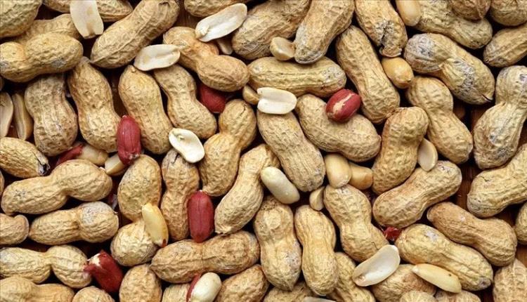 فوائد الفول السوداني في تحسين الذاكرة تعرف عليها
