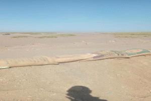 عاجل | القوات الجنوبية وقبائل الصبيحة تتقدم نحو المخا بعد تطهير معسكر العمري
