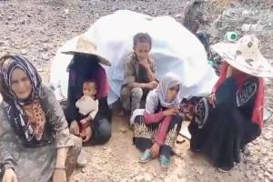 منظمة دولية: التصعيد الحوثي يترك آلاف اليمنيين بلا مأوى
