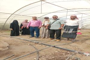 جامعة عدن ومحطة أبحاث الكود تطلقان مشاريع تخرج علمية لمكافحة أمراض المحاصيل الزراعية