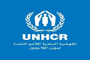 مفوضية اللاجئين تطلق حملة لجمع 50 مليون دولار لمساعدة 9 ملايين شخص