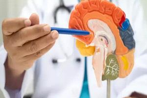عادات يومية تضر بصحة الدماغ.. طبيب أعصاب يحذر