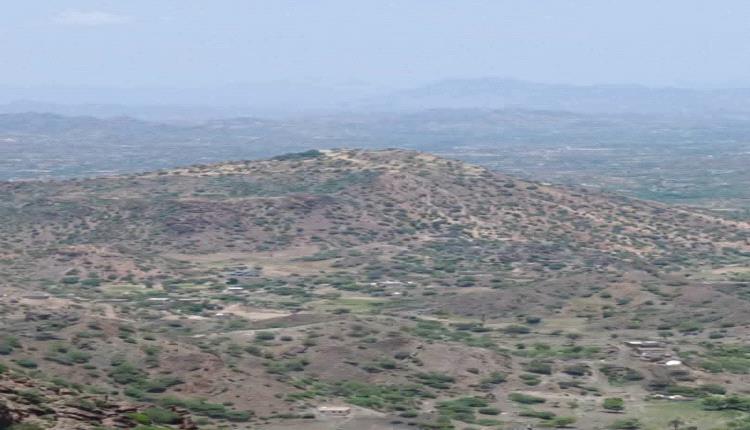 متحدث عسكري: الحوثيون زجوا بـ