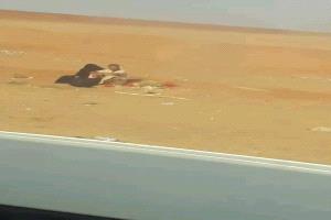 صورة تهز الضمير.. معتمر وزوجته يفترشان التراب في منفذ الوديعة تحت شمس الظهيرة