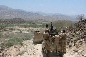 العمالقة والمقاومة الوطنية تسيطران على مواقع استراتيجية في جبهة الكدحة