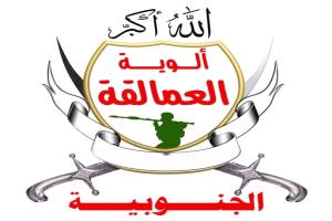 قوات العمالقة الجنوبية تأسر قياديًا حوثيًا ومرافقه في جبهة كهبوب