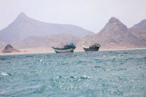 8 دول تحذر من تداعيات اضطراب الملاحة في مضيقي هرمز وباب المندب