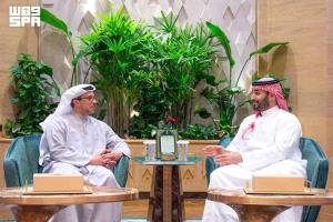 عاجل / محمد بن سلمان ومنصور بن زايد يبحثان العلاقات الثنائية وتطورات المنطقة